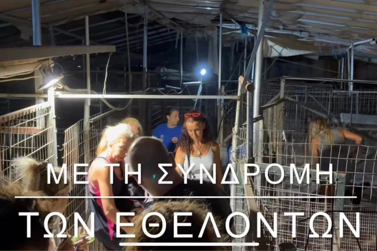 τρητ